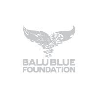 Asset 3.jpg Thumbnail